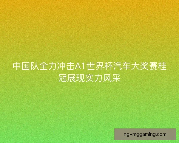 中国队全力冲击A1世界杯汽车大奖赛桂冠展现实力风采