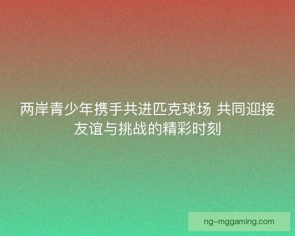 两岸青少年携手共进匹克球场 共同迎接友谊与挑战的精彩时刻 两岸青少年携手共进匹克球场 共同迎接友谊与挑战的精彩时刻